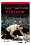 Pollock poster